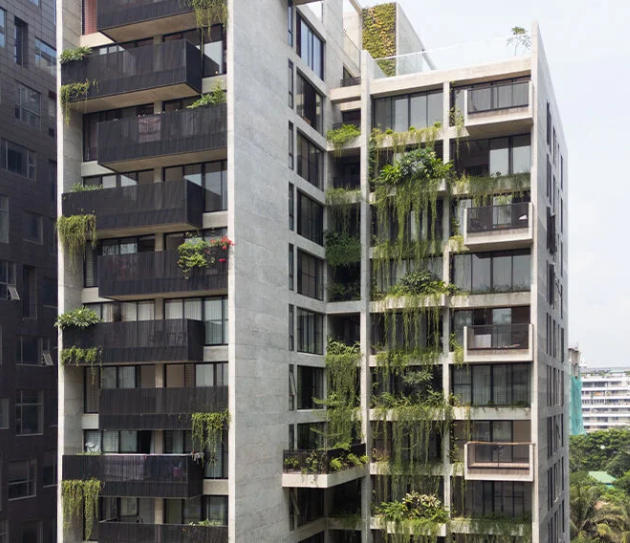 Edison Amour, Bashundhara